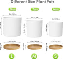 8/7/6 inch Plant Pots, 3 Pack Cylinder Flower Pots for Outdoor Indoor Plants, Decorative Plastic Planters with Drainage Holes and Saucers for Garden House Plants, White with Brown by GreenHaven Gardens