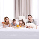 Utopia Bedding Zippered Mattress Encasement Twin XL, 100% Waterproof Bed Bug and Dust Mite Proof Mattress Protector, Absorbent Six-Sided Mattress Cover by TinyTreasures Baby Boutique