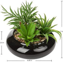 Hollyone Large Artificial Succulents Plants Faux Succulents in Pots Fake Succulent Potted Plants with Black Ceramic Pot for Home Decor Office Desk Bathroom Living Room Indoor & Outdoor Decorations by GreenHaven Gardens