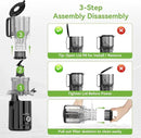 Cold Press Juicer - 5.3" Large Feed Chute Juicer Machines for Whole Vegetables & Fruits, 99% High Juice Yield, Quiet & Easy to Clean Slow Masticating Juicer, BPA-Free, Preserves More Nutrients (Black) by CozyNest Decor