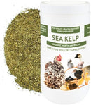 Organic Kelp for Chickens & Duck Feed (5 Pound): Chicken Vitamins | Chicken Supplements | Vitamins for Chickens | Pampered Chicken Mama by GreenHaven Gardens