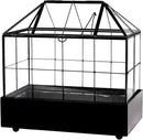 Large Tall Plant Terrarium Glass Greenhouse with Lid and Tray, Indoor Tabletop Orchid Succulent Cacti Kit 9.5'X9.8'X5.6' by GreenHaven Gardens