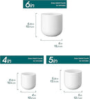 vancasso Ceramic Plant Pots, 4+5+6 inches, Set of 3, Planters with Drainage Hole, Flower Pots Planters Pots for Indoor Plants, Modern Indoor Decorative Garden Pot, Home Decor, White by GreenHaven Gardens