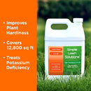 Simple Lawn Solutions - High Potassium Lawn Food Liquid Fertilizer 0-0-25 - Concentrated Spray - Turf Grass Vigor and Plant Hardiness - Summer and Fall - Any Grass Type (1 Gallon) by GreenHaven Gardens