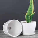 Plant Pots - 4.7 Inch Cylinder Ceramic Planters with Connected Saucer, Pots for Succuelnt and Little Snake Plants, Set of 4, White by GreenHaven Gardens