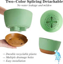 Bevgems 3 Pack 8.26 Inch Hanging Planters, Plastic Self-Watering Hanging Flower Plant Pot, Decorative Flower Pot Holder with Drainage Holes & Removable Tray for Indoor Outdoor Plants,Flowers, Herbs by GreenHaven Gardens