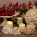 6 PCS 1.8”H Rechargeable Flameless Votive Candles with Remote and Charging Cable, Battery Operated Flickering LED Tealight Candles, Durable & Sturdy Tea Light, Ideal for Pumpkin/Bar/Party Decor by GreenHaven Gardens
