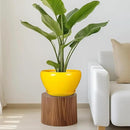 Indoor Planter 11 Inch - Decorative Mid-Century Large Ceramic Plant Pot for Outdoor Plants with Drainage Hole and Saucer, Home Balcony House Garden Patio Office Room Decor, Yellow by GreenHaven Gardens