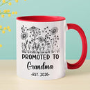 Customized Promoted To Grandma Accent Mug, New Grandma Pregnancy Announcement White Coffee Cup 11 15 Oz, Personalized Grandmother EST 2026 Ceramic Coffee Mug Gift For New Grandmother Nana Gigi Mimi by TinyTreasures Baby Boutique
