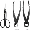 Wazakura Made in Japan 5PCS Bonsai Tool Kit with Roll Bag: Yasugi Steel Satsuki Bonsai Scissors, Concave Branch Cutter, Knob Cutter, Wire Cutter, Tweezers - 5 Tools Satsuki Set with Case by GreenHaven Gardens