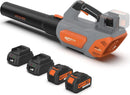 Keenstone Leaf Blower, Cordless Leaf Blowers Max 620-CFM 120-MPH with 2 * 4000mAh Batteries and 2*Fast Chargers, Lightweight Leaf Blower Cordless with 3 Speed Modes for Patio, Lawn, Yard, Leaves 40V by GreenHaven Gardens