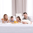 Utopia Bedding Zippered Mattress Encasement Twin XL Size (Pack of 12), 100% Waterproof, Dust Mite and Bed Bug Proof Mattress Protector, Absorbent 6-Sided Mattress Cover by TinyTreasures Baby Boutique