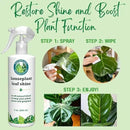 Houseplant Leaf Shine Spray – All-Natural Leaf Cleaner and Gloss for Healthy Shine & Better Photosynthesis | Perfect for House Plants and Foliage | 8 oz by GreenHaven Gardens