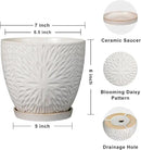 G EPGardening 6 Inch Plant Pot for Indoor Plants Outdoor Round Ceramic Planter Decorative Flower Pot with Drainage Hole and Saucer White by GreenHaven Gardens