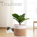 11" Cotton Rope Plant Basket Modern Woven Baskets for 10" Flower Pot Floor Indoor Planters,Storage Organizer Baskets Home Decor,Brown White 11"x 11" by CozyNest Decor