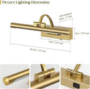 Wireless Picture Lights for Wall Rechargeable Brass Gallery Lights Battery Operated Art Lamps with Remote and Timer Dimmable Painting Lights for Artwork Portrait Display 12 Inch 2W 2700K by CozyNest Decor