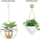 Ceiling Hooks for Hanging Plants-Metal Heavy Duty Wall Mounted Hangers for Hanging Bird Feeders, Planters, Wind Chimes, Include Professional Drywall Anchors (3-Pack) (Gold) by GreenHaven Gardens