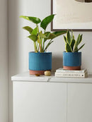 LE TAUCI Ceramic Plant Pots with Drainage Holes, Set of 3, 8+6.7+5.5 Inch Stripe Garden Planter Pots for Outdoor Indoor Plants Flower, Round Succulent Orchid Flower Pot Small to Large Size, Blue by GreenHaven Gardens