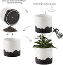 Nihow Ceramic Plant Pot: 8 Inch Planter with Drainage Hole & Saucer for Indoor & Outdoor Plants - Cylinder Round Flower Pot for Succulent/Herbs/Violets - White & Wave Black by CozyNest Decor