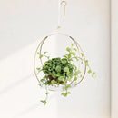 Hanging Planter for Indoor Plants - Outdoor Plant Hanger, Mid Century Boho Macrame Metal Plant Hanger, Plant Hanger Indoor Conner Ceiling, Gift for Mom, Plant Lovers, Housewarming by GreenHaven Gardens