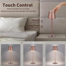 Maksone 2 Pack LED Cordless Table Lamp, 6600mWh Rechargeable Battery Desk Lamp, 3000K Stepless Dimming Night Light, IP54 Waterproof Metal Outdoor Portable Lamp for Camping, Restaurant(Brown) by CozyNest Decor