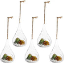 Juvale 5-Pack Hanging Glass Terrarium Containers - Air Plant Holder, Succulent Planter, Tea Light Candle Hangers (3.5x5 in) by GreenHaven Gardens