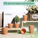 vensovo 48 Pcs 2" Tiny Terracotta & Terra Cotta Pots with Drainage - Small Mini Clay Ceramic Pottery Planter Ideal for Indoor/Outdoor Plants, Crafts, Wedding Favors by GreenHaven Gardens