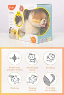 CU-MATE Plush Interactive Pomeranian Dog-Realistic Puppy Electronic Toy Dog with Walking/Barking/Wagging Tail/Talking- Robotic Pet Toy Present for Toddler Girls Boys by TinyTreasures Baby Boutique