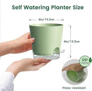 6 inch Self Watering Pots for Indoor Outdoor Plants, 3 Pack Flower Plant Pots with Drainage Holes and Clear Reservoirs, Visible Water Level, Plastic Planters with Wicking Rope, Green by CozyNest Decor