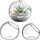 Mipcase 3 Pcs Plant Terrarium Plant Holder Terrarium Air Plant, 3 Round Glass Vase for Succulents, Clear Bubble Planter for Home Decor, Oblique Opening Glass Bowls Succulent Orbs Mini Tank by GreenHaven Gardens