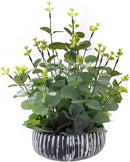 Artificial Plants Potted Real Looking Small Faux Plant with Rustic Black Cement Planter for Kitchen Office Desk Bookshelf Decor (Eucalyptus Plant) by CozyNest Decor