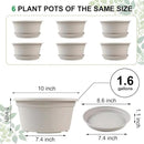 6 Pack 10 inch Plant Pot, Outdoor Pots for Plants with Drainage Hole & Tray Saucer, Round Plastic Plant Pot, Decoration Flower Pots for Indoor Plants Home Garden Outdoor Planters (White) by GreenHaven Gardens