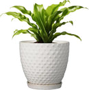 G EPGardening 8 Inch Plant Pot for Indoor Outdoor Plants Round Ceramic Planter Pot with Drainage Hole and Saucer Modern Large Flower Pot White by CozyNest Decor