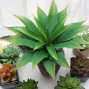 JUSTOYOU Large 12.5" Artificial Succulents Aloe Plants Real Touch Fake Flowers Unpotted for Home Wedding Festival Arrangement (1, Green) by CozyNest Decor