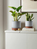 LE TAUCI Ceramic Plant Pots with Drainage Holes, Set of 3, 8+6.7+5.5 Inch Stripe Garden Planter Pots for Outdoor Indoor Plants Flower, Round Succulent Orchid Flower Pot, Reactive Glaze White by GreenHaven Gardens