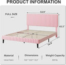 Full Size Bed Frame with Headboard, Velvet Upholstered Platform Bed with Vertical Channel Tufted Design, No Box Spring Required, Easy Assembly, Pink by CozyNest Decor