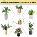 Remiawy Watering Can Indoor Outdoor Stainless Steel Watering Cans for House Plants Long Spout Water Can for Succulent Bonsai Garden Flower(40oz/1300ml) by GreenHaven Gardens