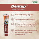 Dentup Herbal Toothpaste with Clove & Basil | Natural Fluoride-Free Ayurvedic Toothpaste for Fresh Breath & Gum Support – 100g Each (Pack of 2) by CozyNest Decor