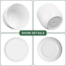 6.7 + 5.5 Inch Plant Pot, Ceramic Planter with Drainage and Saucer, Ceramic Pots for Plants, Indoor Plant pots,Succulent Pot Orchid Pots(Smooth White,Plant Pot Only) by GreenHaven Gardens