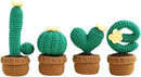 Utook Crochet Kit for Beginners，Crochet Starter Kits,Crochet Kits for Beginners Adults and Children, with Instructional Videos and Paper Tutorials, Handmade Crafts, Holiday Gifts (Love Cactus) by TinyTreasures Baby Boutique
