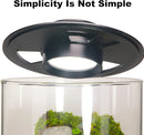 Desktop Glass Plant Terrarium with Grow Light (H:9.8" D:5.9"), for Succulent, Moss, Miniature Gardening Landscape, Betta Fish Tank, Indoor Plant Growth, Office Home Decoration, Plant Lovers Gifts by GreenHaven Gardens