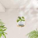 Hanging Planters for Indoor Plants, Plant Hanger with Sturdy Wood Base,Modern Boho Macrame Plant Hanger,Wall Ceiling Window Stands(Plants/Pots Not Included) by GreenHaven Gardens