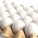 CALPALMY 24 Pieces Hyper-Realistic White Wooden Eggs - 2 Dozen Fake Easter Eggs for Painting, Decorating, Crafting, Pretend Play, Simulation Toys, Fake Food, Nest Box Training by TinyTreasures Baby Boutique