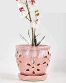 vensovo 5 Inch Ceramic Orchid Pots with Holes and Saucers - 1 Pcs Small Succulent Pot for Repotting, Garden Flowerpots for Plants Indoor and Outdoor Promotes Air Circulation, Pink by GreenHaven Gardens