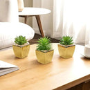 Hollyone Small Succulents Artificial 3 Pcs Faux Succulents with Gold Pots Mini Fake Succulent Plants Indoor Plant Ceramic Pots for Modern Office Desk Bathroom Shelf Living Room Home Decor by GreenHaven Gardens