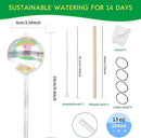 13 oz Up 2 Weeks Large Plant Watering Globes - Self Watering Bulbs for Indoor & Outdoor Plants, Glass Water Globes, Slow Watering for Plants While Away, Self Watering Planter Insert 4 Pack by GreenHaven Gardens