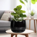 G EPGardening Ceramic Plant Pots - 9 Inch Round Planter, Ceramic Pots for Plants with Drainage and Tray, Flower Indoor Outdoor Planter, Modern Desk Decor, Plant Lover Gifts, Black by GreenHaven Gardens