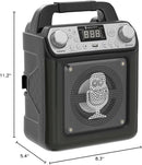 Singing Machine Portable Karaoke Machine with Wired Mic, Bluetooth, LED Lights - For Adults & Kids by TinyTreasures Baby Boutique