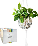 Hanging Disco Ball Planter 8" - with Acrylic Stand and Macrame Plant Hanger - Home Décor, Room Décor, Patio or Boho Décor, Mirror Disco Planter, Disco Decor (8" No Base) by GreenHaven Gardens