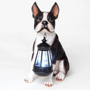 Bits and Pieces - Boston Terrier Solar Lantern Statue - Yard Decorations - Solar Powered Garden Lantern - Resin Dog Sculpture - Outdoor LED Lighting by GreenHaven Gardens